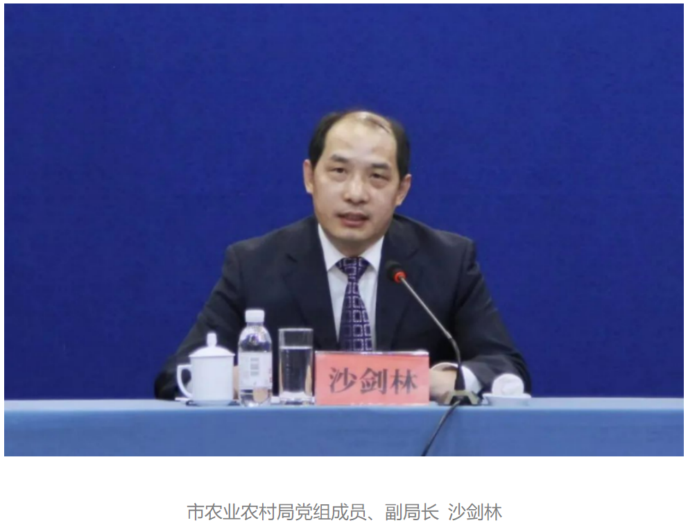 星空XK·(中国)体育有限公司